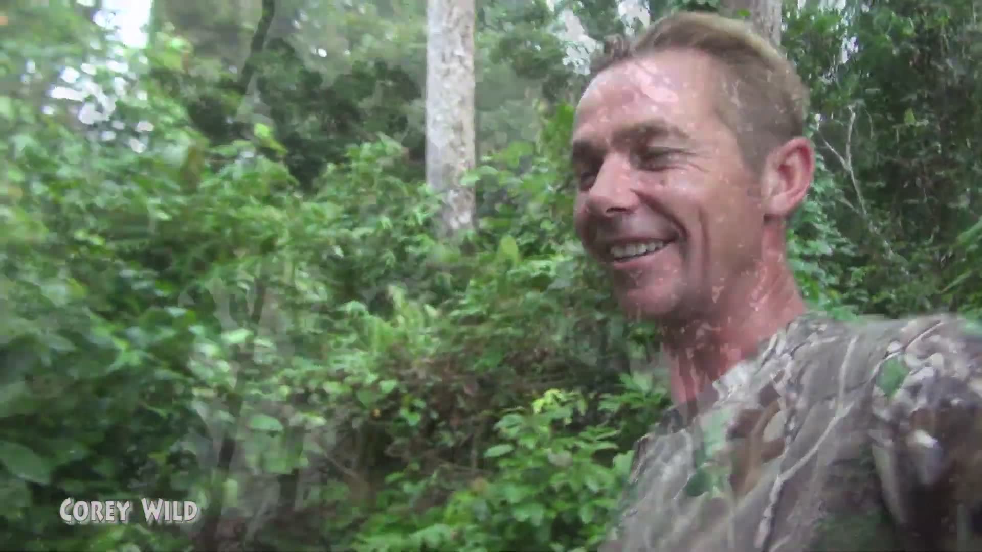 Orangutan adventure