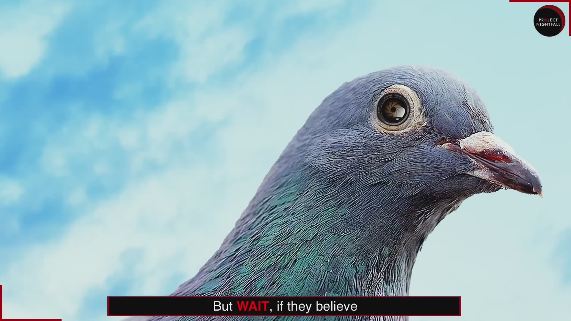 Are birds just hidden cameras?